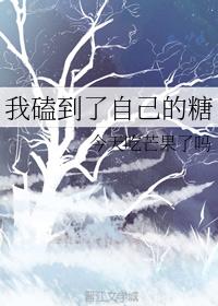 我磕到了自己的糖