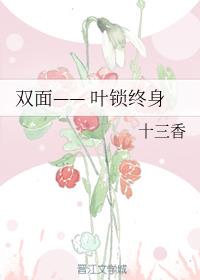 双面——叶锁终身