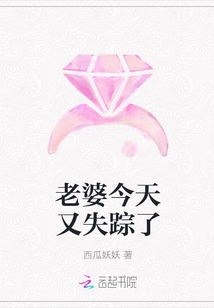 老婆今天又失踪了