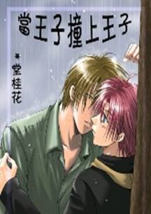 当王子撞上王子