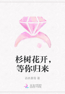 杉树花开，等你归来