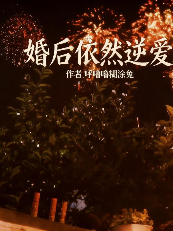 婚后依然逆爱
