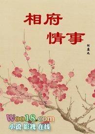 相府情事（古言纯肉H）