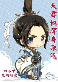 夫君他浑身杀气（双马甲 先婚后爱 武侠甜文）