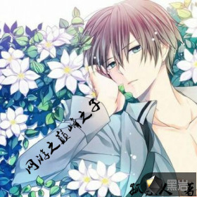 网游之巅峰之子